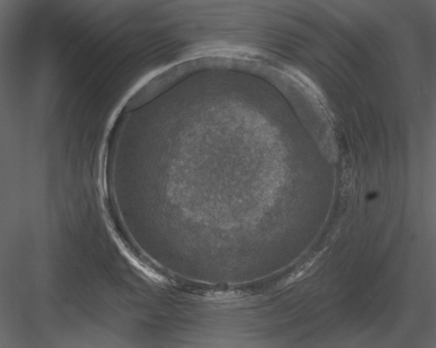 X0000083991128200702232104