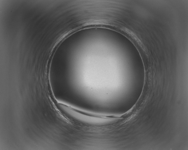 X0000083991129200702232104