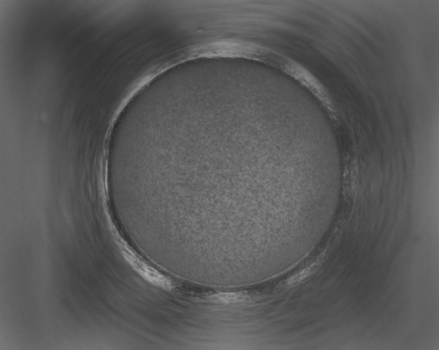 X0000083991130200702232104