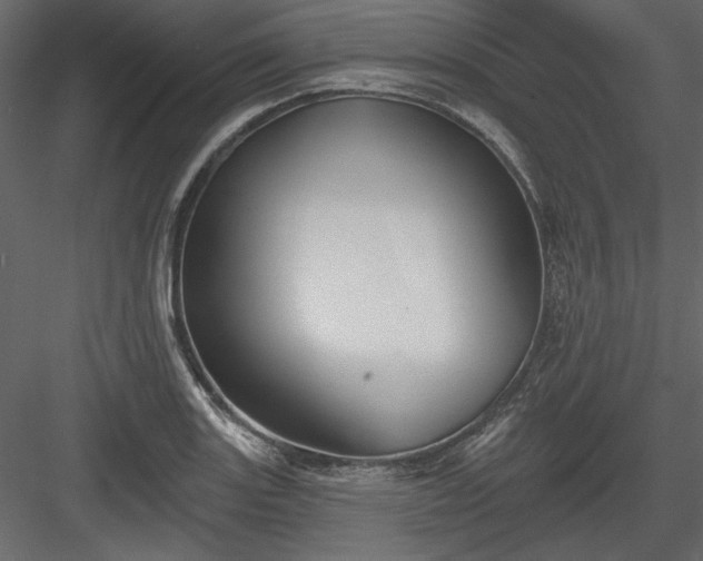 X0000083991131200702232104