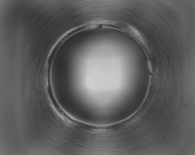 X0000083991132200702232104