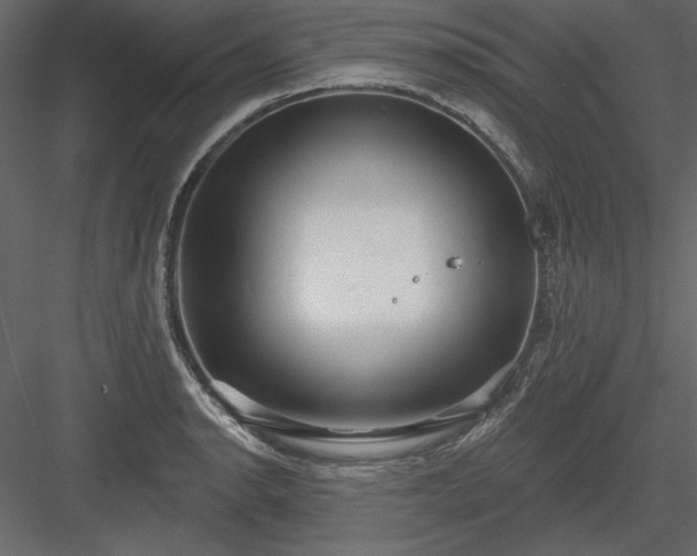 X0000083991134200702232104