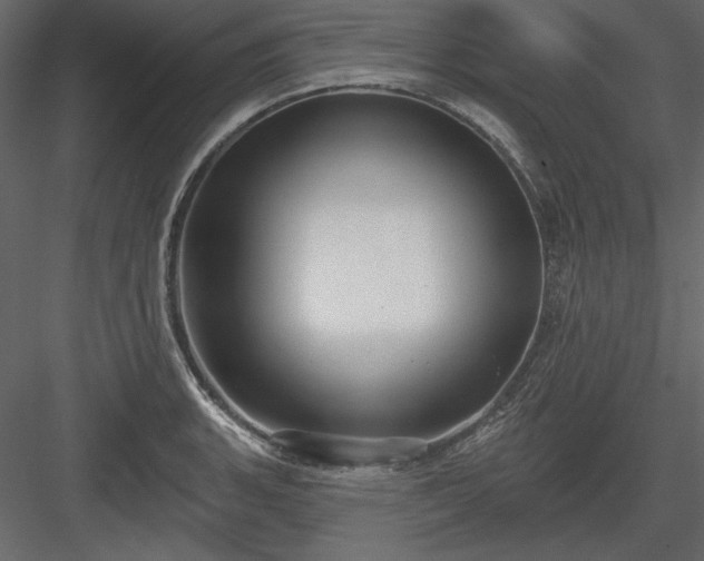 X0000083991135200702232104