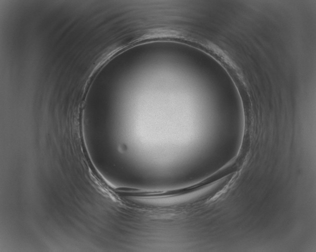 X0000083991137200702232104