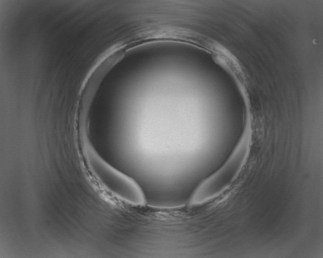 X0000083991138200702232104