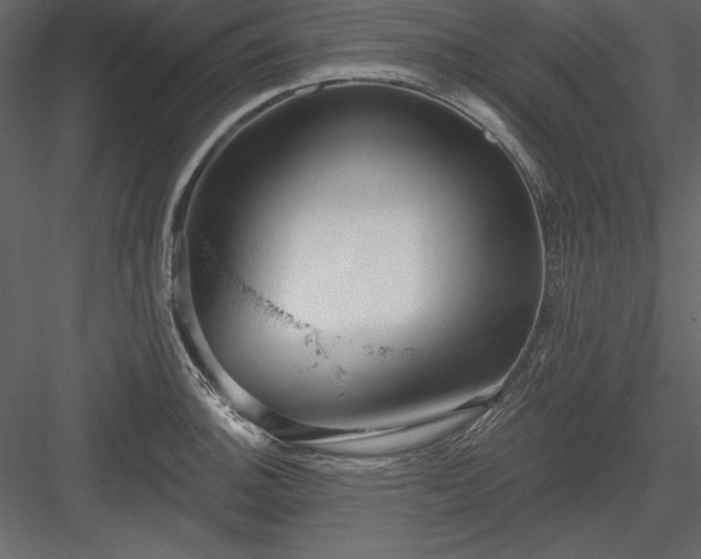 X0000083991140200702232104