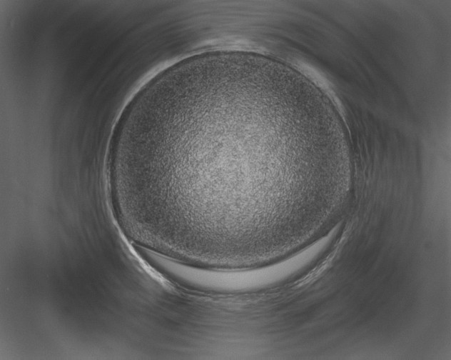 X0000083991141200702232104