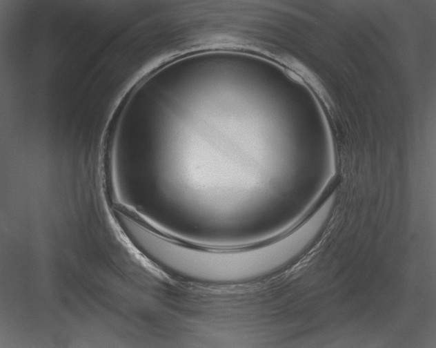 X0000083991142200702232104