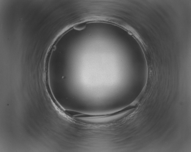 X0000083991143200702232104