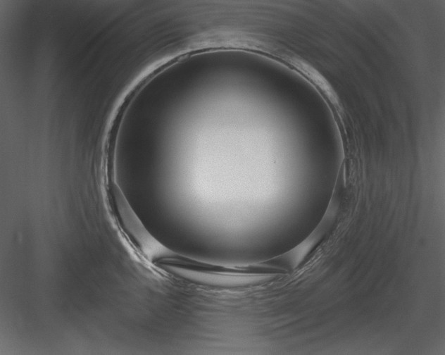 X0000083991144200702232104