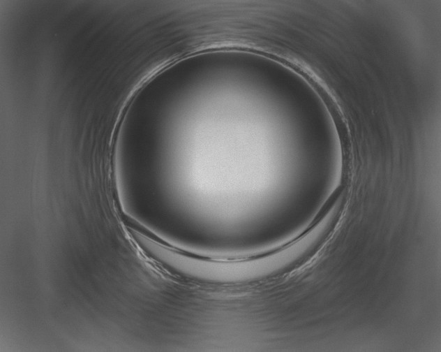 X0000083991145200702232104