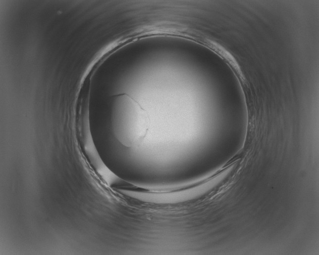 X0000083991146200702232104