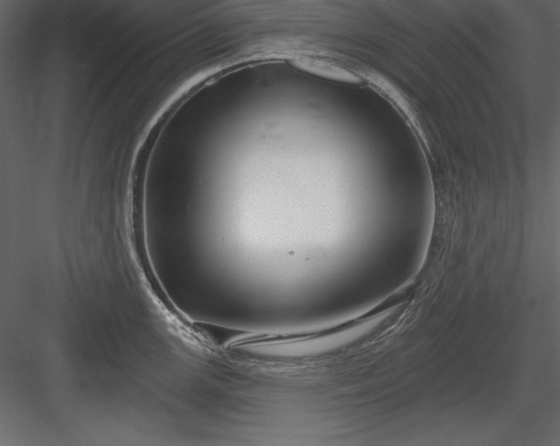 X0000083991147200702232104