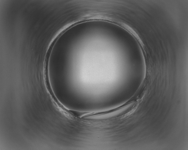 X0000083991149200702232104