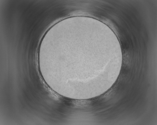 X0000083991150200702232104