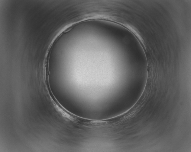 X0000083991151200702232104