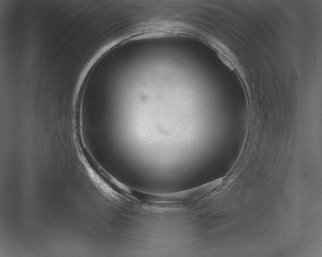 X0000083991152200702232104