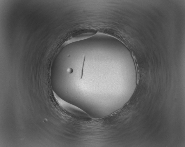 X0000083991153200702232103