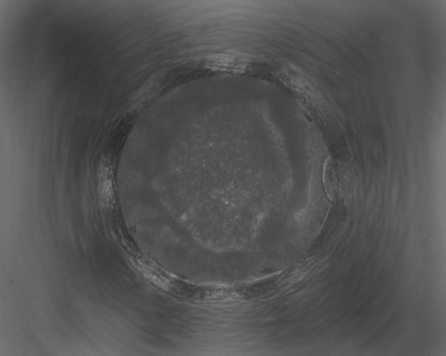 X0000083991154200702232103