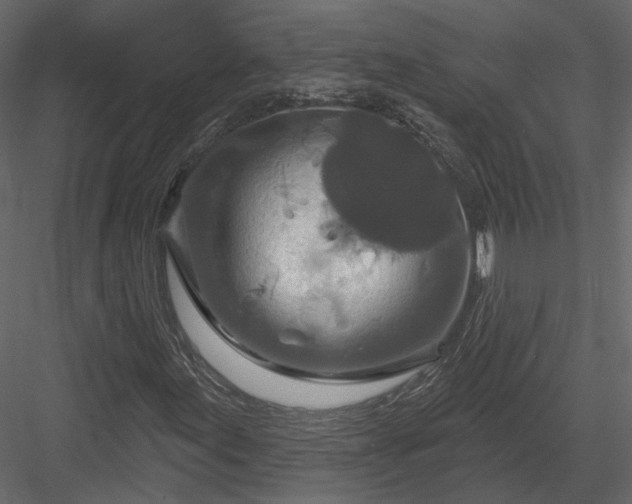 X0000083991155200702232103