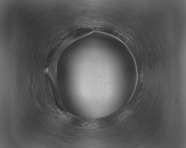 X0000083991156200702232103