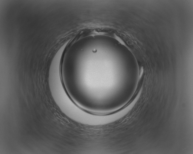 X0000083991157200702232103