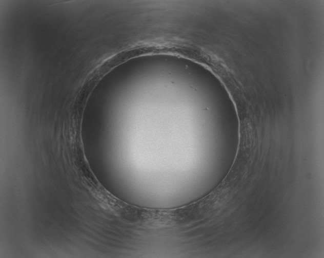 X0000083991158200702232103