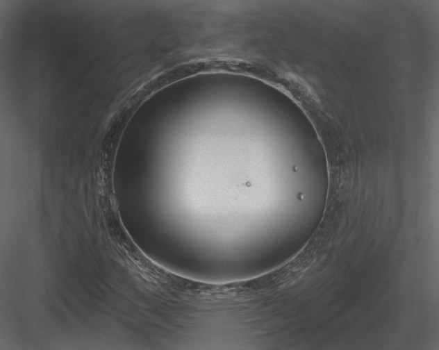 X0000083991159200702232103