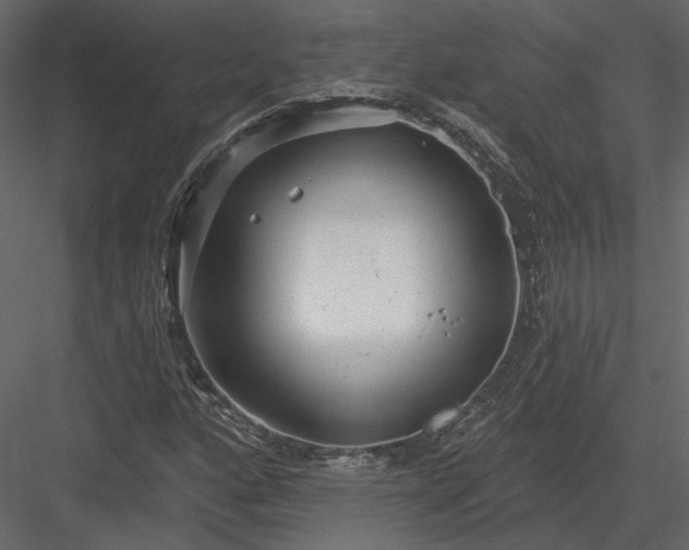 X0000083991160200702232103