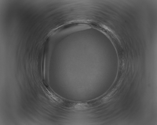 X0000083991161200702232103