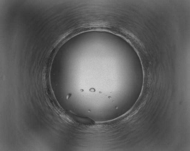 X0000083991162200702232103