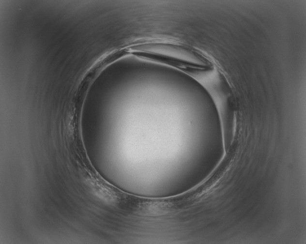 X0000083991163200702232103