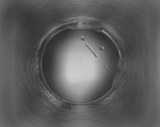 X0000083991164200702232103