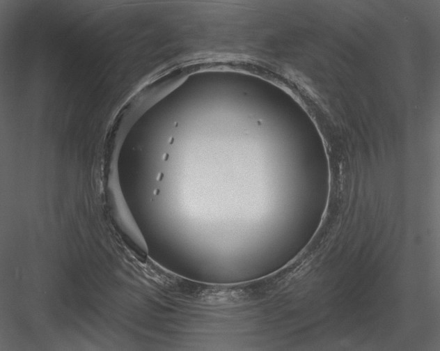 X0000083991165200702232103