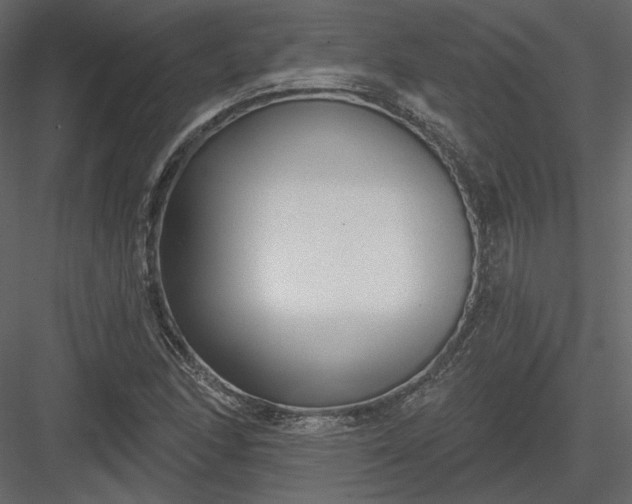 X0000083991166200702232103