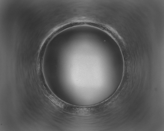 X0000083991167200702232103