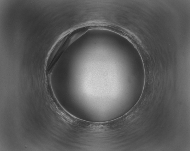 X0000083991168200702232103