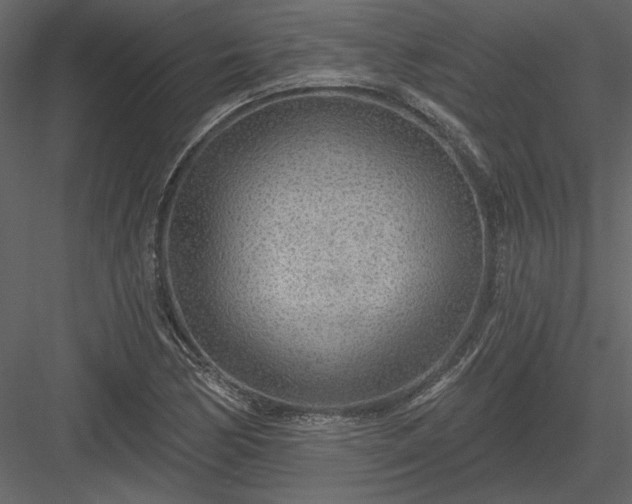 X0000083991170200702232103