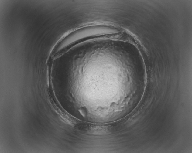 X0000083991171200702232103