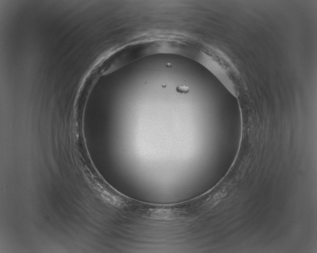 X0000083991172200702232103