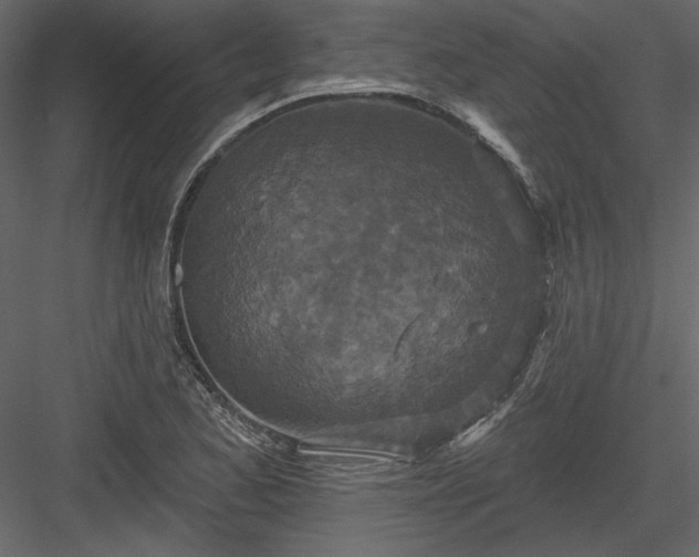 X0000083991173200702232103