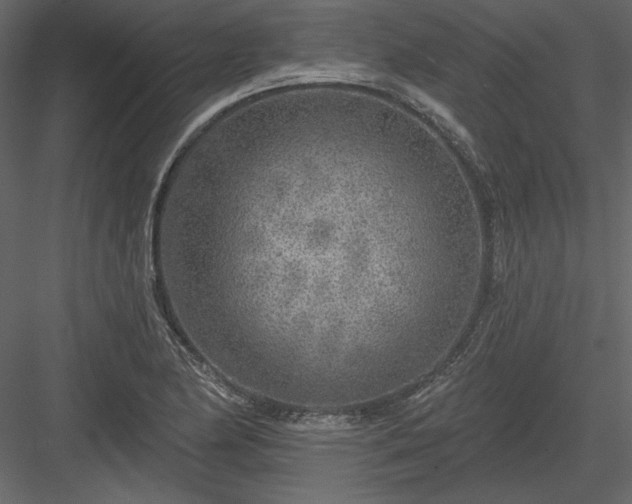 X0000083991174200702232103