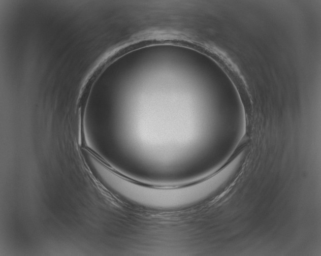 X0000083991175200702232103