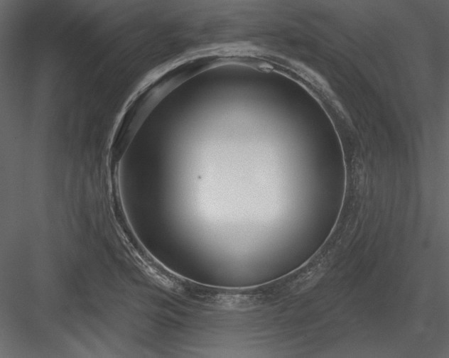 X0000083991176200702232103