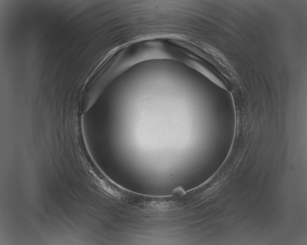 X0000083991177200702232103