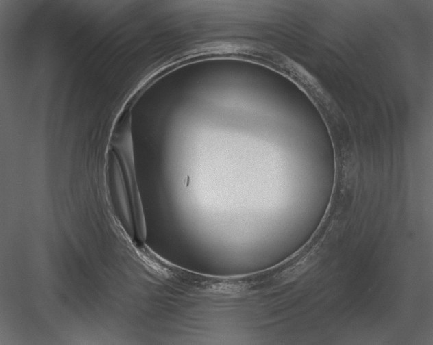 X0000083991178200702232103