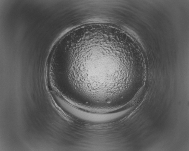 X0000083991179200702232103