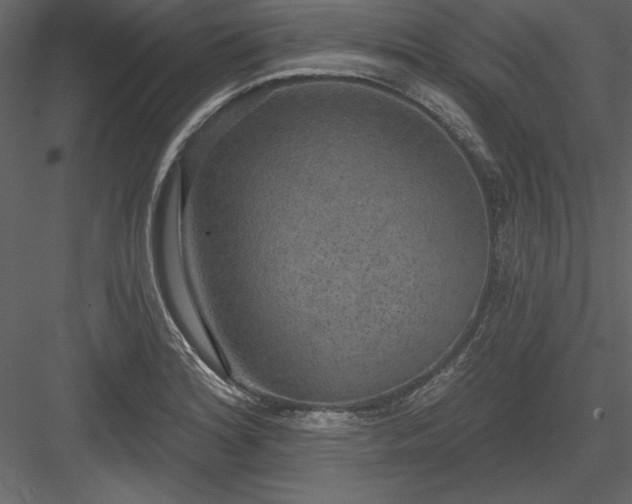 X0000083991180200702232103