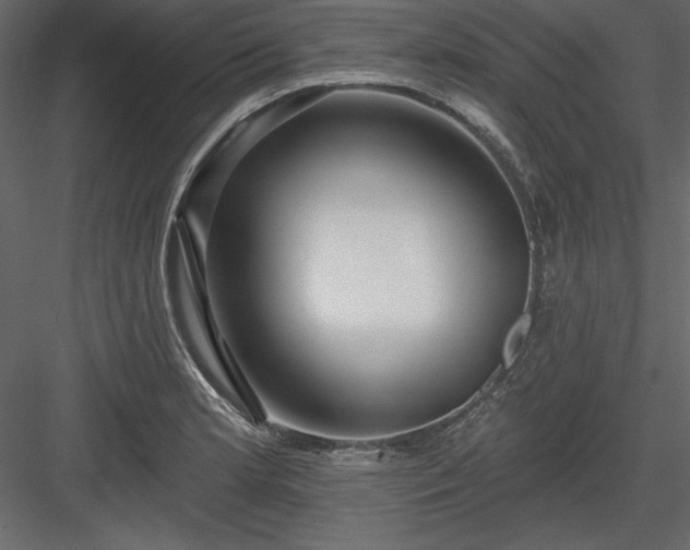 X0000083991181200702232103