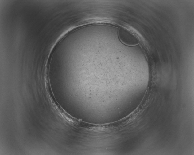 X0000083991182200702232103